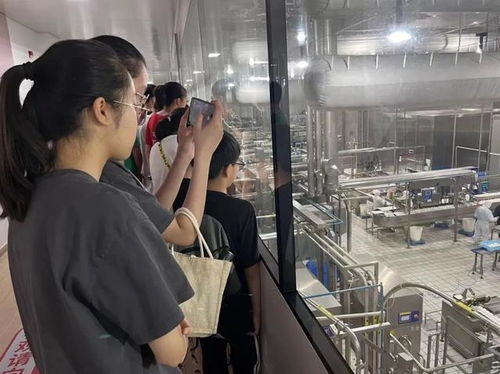 快乐一 夏 这个 儿童友好社区 的暑期嘉年华好精彩