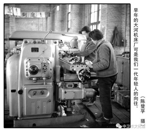 中卫老照片展 七十年代中卫的明星行业,你知多少