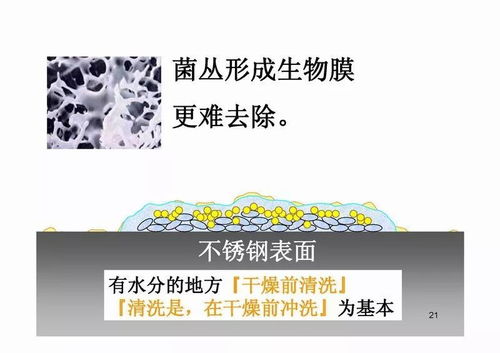 食品工厂内进行清洗的目的