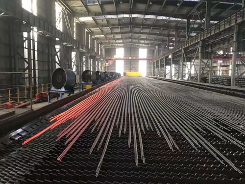 有序复工与线上教学并举，省市政策落地见实效