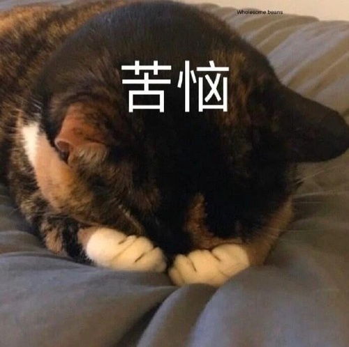 勿忘胡画拉 一个被遗忘的角落